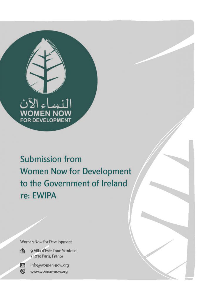 In coordination with our partner, Women’s International League for Peace and Freedom (WILPF), we developed a response to deal with the shortcomings of the proposed declaration